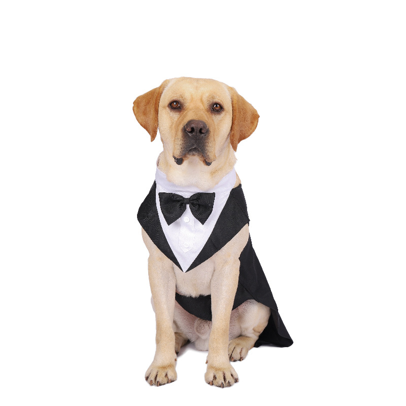 Ropa para perros, desfile de m - Suit Supply Wedding Party reseña y precio