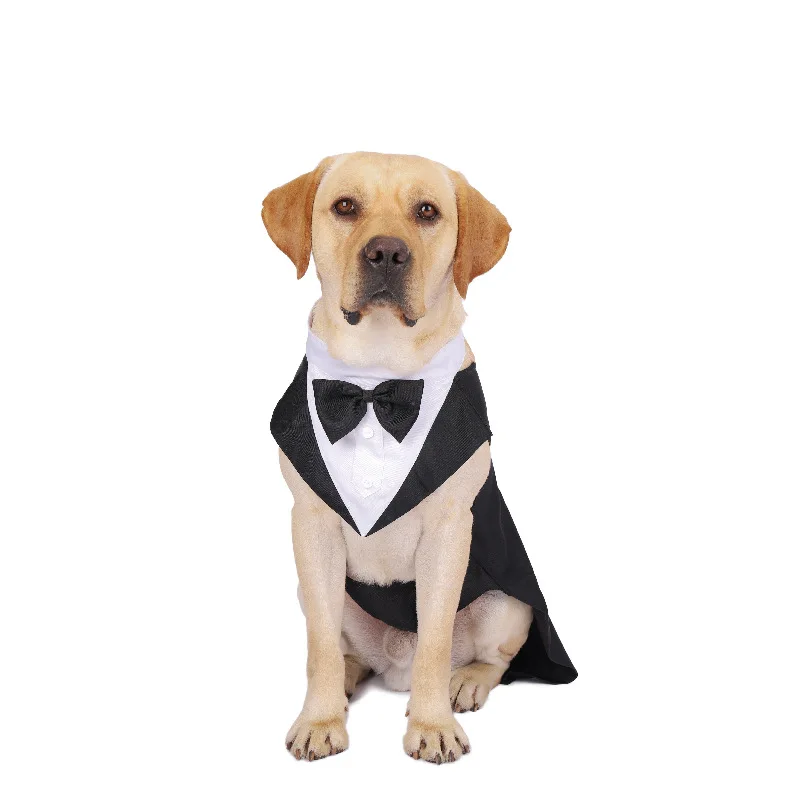 Ropa para perros, desfile de m - Suit Supply Wedding Party reseña y precio